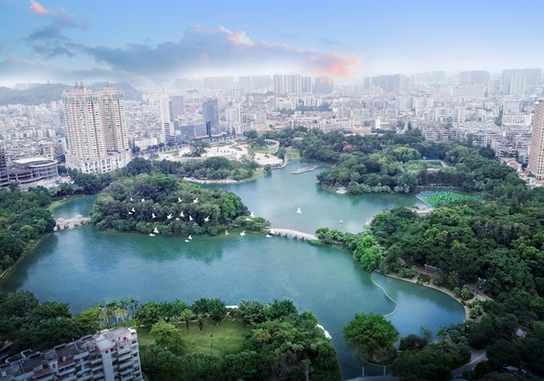 “水下森林”景觀，擦亮綠色低碳城市名片