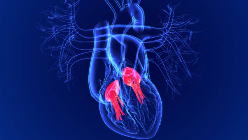 Heart Valve Disorders